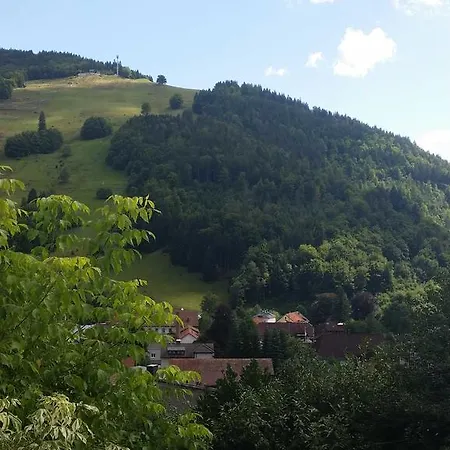 Haus Sonnenhang Διαμέρισμα *